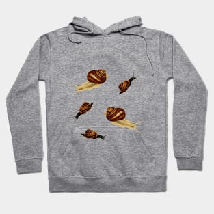 Vintage Snail Illustrations - 5 Brown Snails Hoodie